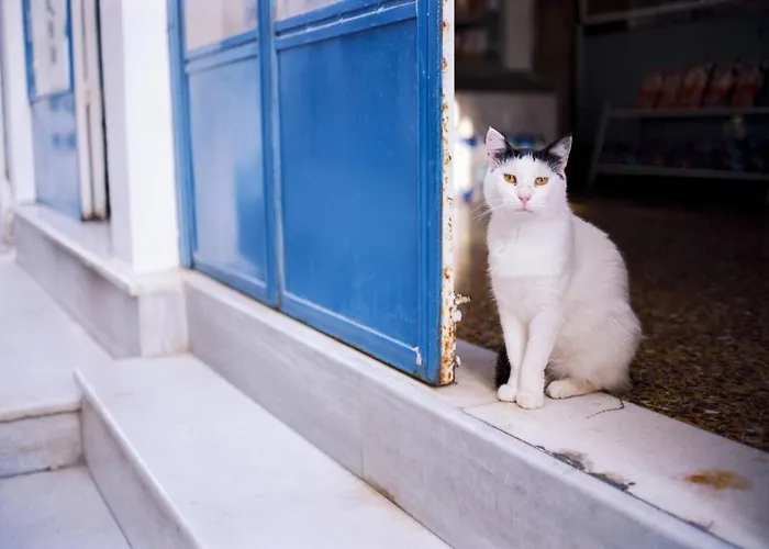 Relaxing & Ambient Santorini 2 Bedrooms Cave Stone